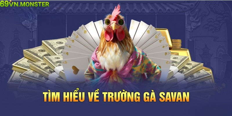 Giới thiệu thông tin chung về trường gà Savan