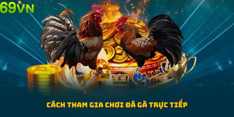 Hướng dẫn cách tham gia chơi đá gà trực tiếp