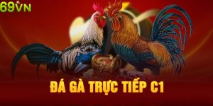 Đá gà trực tiếp C1