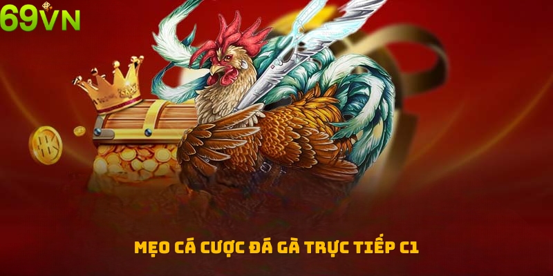 Mẹo cá cược đá gà trực tiếp C1